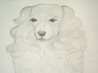 LEE'sArt&Design | hyanggi lee님이 design에 올린 아이디어