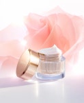 로지앤크림 rosy&cream | 헤라 로지 사틴 크림 -HERA ROSY SATIN Cream | Best makeup products, Best makeup brands, Makeup brands