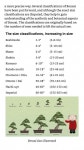 새봄분재꽃식물원 | Bonsaigrössen kurz erklärt #Bonsaicuidados #outdoorbonsai | 분재, 꽃