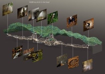 Cave Myeongdong(동굴명동) | Son Doong Cave interactive map | http://ngm.nationalgeographic.com/2011/01/largest-cave/largest-cave-interactive | 동굴