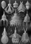 르네베넷 (rene venet) | Rene Binet’s Esquisses Décoratives (1904) predicts speculative designs that prefigure many of the forms we see today. This largely...