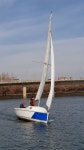 알씨요트세일링협회 | 한강에서 즐기는 #요트 #세일링 #한국해양교육협회 #yachtsailing #yachtlife #sailing #sailinglife #sailingstagram | 요트