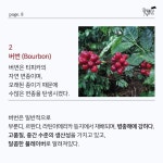 CoffeeU커유 | 커 피 & 차에 있는 James Yun님의 핀(이미지 포함) | 커피