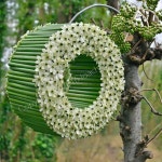 Designed by Erema Max Ioachim | 꽃꽂이, 꽃