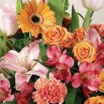 Spring arrangement | 꽃