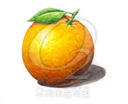 문정수오렌지미술학원 | 국민대 #건국대 #경희대#미대입시 #기초디자인 #수채화 #기초소양 #기초조형 #오투미술학원 #입시미술 #선릉오투미술학원#오렌지#귤 | 오렌지, 수채화