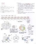 #ClippedOnIssuu from Crochet | 크로셰, 뜨개질, 아미구루미