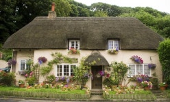 Chocolate box cottage | 시골, 건축, 집