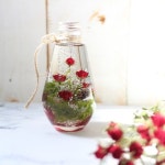 「하바리움」おしゃれまとめの人気アイデア|Pinterest|채여니 | デコレーションボトル, バラ 赤, インテリア プレゼント
