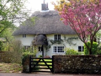Beautiful Cottage in Bosham | West Sussex by Jaunty Jane | 작은 집, 별장, 시골