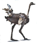 삼척공예인협회수-아트 | Ostrich life size openskywoodart.com | 공예, 아트