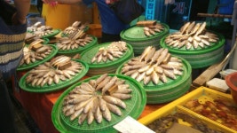 🐟 market | 사람