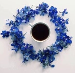 롯데강남오브제박미옥 | Tea от 박미옥 | Кофе, Вдохновение, Доброе утро