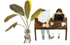 Lee yoon hee :: 'Illustration' 카테고리의 글 목록