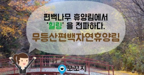 6월의 임업인 : 편백나무 휴양림에서 '힐링'을 전파하다 - 무등산편백자연휴양림 진춘호 이사 | 자연