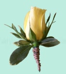 Occasions Florist Murphy NC Yellow Rose Boutonniere | 꽃