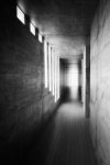 Koshino House | Tadao Ando | 건축