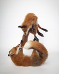 Needle felted fox sculpture | 동물, 여우, 그림