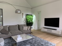 나아바 플랜테리어 ( Plant Interior with NAAVA Smart Greenwall) - 2020 | 인테리어 아이디어, 인테리어, 초록색 벽