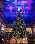 그레이트 트리 헤어(great tree 헤어) | MACY'S,State Street,Chicago, USA, "The Great Tree in the Walnut Room", by Sylvia Q., pinned by Ton van der Veer | 크리스마스 트리