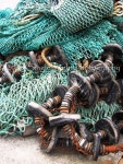 aqua fishing net (With images) | Fishnet, Fish, Aqua turquoise