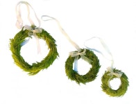 이미지 출처 http://www.floral-arrangements-unique.com/images/lemon-cypress-wreath-set-round-three-pieces.jpg