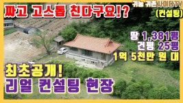 귀농귀촌사이다TV나그네쉼터 | 봉말숙이 찾던 바로 그집 매물나올듯 - 재테크 마이너 갤러리