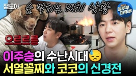 지승자동차공업사주 | 이주승이 신금이던데 신금 느낌 안나서 좋아 - 역학 갤러리
