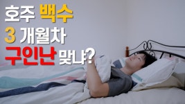 호주 워홀러 유튭인데 - 여행-호주, 뉴질랜드 갤러리