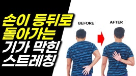오늘신경쓸거 - 수영-영법 마이너 갤러리