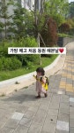 소랑앤지미 | 소랑앤지미 - YouTube