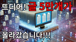 티스토리&조영숙갤러리 | 니 블로그가 노출이 안되는 이유 - 티스토리 마이너 갤러리