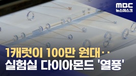 캐럿이 100만원대‥실험실 다이아몬드 '열풍' - 특이점이 온다 마이너 갤러리