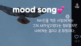 오늘만든 자작곡 - 작곡 갤러리