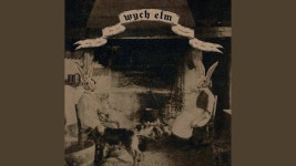 Rabbit - Wych Elm: 노래 가사, 뮤직 비디오 및 콘서트