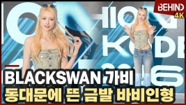 블랙스완 가비, 미모가 갑이야 - B.S(블랙스완) 마이너 갤러리