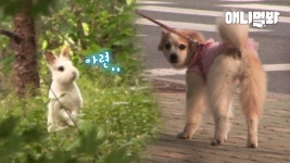 (주)정아선용품제작소 | 정아선정 존귀영상 - 소개팅 마이너 갤러리
