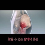 성선생공부방 | 성선생의 운동과 건강사이 - YouTube 성선생의 운동과 건강사이