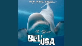 Beluga - Ali Affront: 노래 가사, 뮤직 비디오 및 콘서트