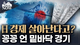 자본주의의 뜨거운 맛을 보는 중인 일본인 - 미국 주식 마이너 갤러리