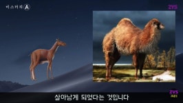 낙타의 기원과 혹에 관한 고찰