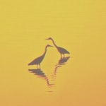 분당왕족발간성점 | Stream Love. by fluwave | Listen online for free on SoundCloud Love.