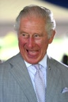 Prince Charles accused of 'enviro hypocrisy' after plane flies 125 miles to pick him up - Daily Star Prince Charles accused of...