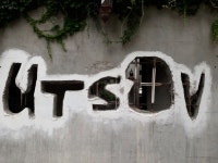 상수동 인도 요리 전문점 웃사브