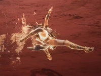 스텔라 라이크