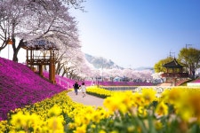 봉화군산림조합(1종) | - 산림조합중앙회