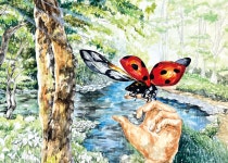 영암군산림조합(4종) | - 산림조합중앙회