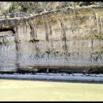 Guadalupe River State Park - 방문자 667명의 팁 11개 Guadalupe River State Park