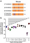 Figures and data in Differences across cyclophilin A orthologs contribute to the host range restriction of hepatitis C virus...