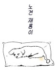 재롱이수선 | 노견 재롱이 : 네이버 웹툰 노견 재롱이